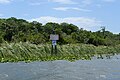 Manatee Sign