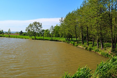 Étang à Třibřichy.