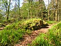 A possible entrance way into the old castle.