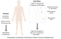 Neo-Lamarckian inheritance of hologenome