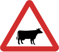 B26: Cattle ahead