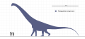 Patagotitan Scale Diagram