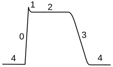 Plot of membrane potential versus time. The initial resting phase (region 4) is negative and constant flowed by sharp rise (0) to a peak (1). The plateau phase (2) is slightly below the peak. The plateau phase is followed by a fairly rapid return (3) back to the resting potential (4).