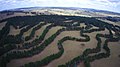 Image 50Contour planting integrated with animal grazing on Taylor's Run farm, Australia (from Agroforestry)