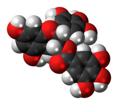 Space-filling model of the epigallocatechin gallate molecule