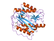 2b3k: Crystal structure of Human Methionine Aminopeptidase Type I in the holo form