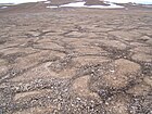  ... with patterned ground on Devon Island in the Canadian Arctic.