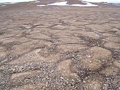  ... with patterned ground on Devon Island in the Canadian Arctic, on Earth.