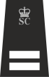 Special Inspector Rank Insignia with SC & Crowns