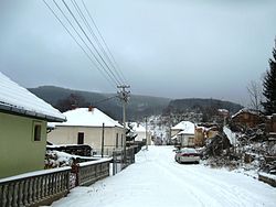 Winter in Vlasina Rid.