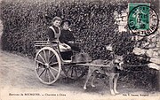 Deux enfants sur une charrette tirée par un chien.