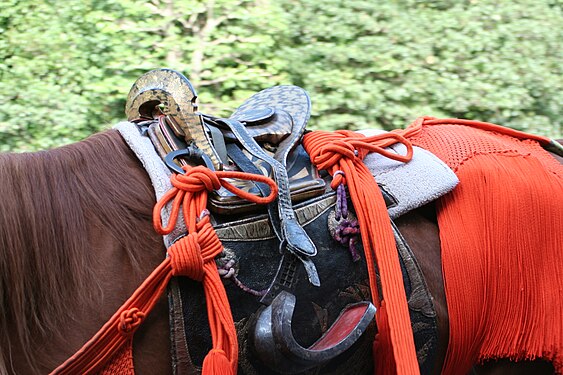 Abumi in use with a Japanese saddle (kura)