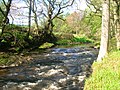 A dike on the Lugton Water near old Montgreenan castle