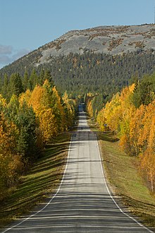 Regional road 962 towards Pyhätunturi, 2018 September.jpg