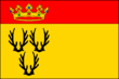 Vlag