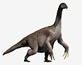 Therizinosaurus cheloniformis