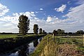 Image 12The River Brue in an artificial channel draining farmland near Glastonbury (from Somerset)