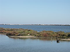 L'étang d'Ingril avec Frontignan-plage en fond