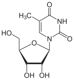 Skeletal formula of 5-methyluridine