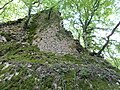 Ruines du Château de Binans