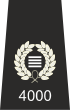 Special Constabulary Chief Officer Insignia