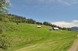 Die Sohlenalm (1352 m) an der Nordseite der Veitschalpe, südlich des Niederalpls