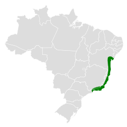 Distribución geográfica de la tangara ventriblanca.