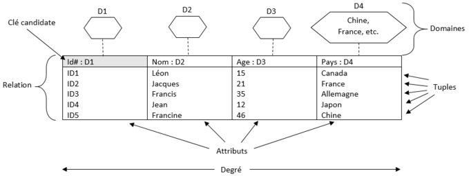 Figure illustrant la terminologie structurelle