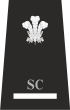 Gwent Special Sergeant Rank Insignia