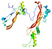 Protein NOG PDB 1m4u.png