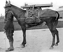 Photo noir et blanc datant de 1921 d'un soldat américain et d'un animal de bât transportant des éléments d'un obusier de montagne.