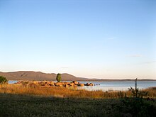 Gaborone Dam 1.jpg