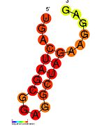 HIV-1_SL3: Secondary structure taken from the Rfam database. Family RF01381