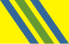 Flag of Zielona Góra County