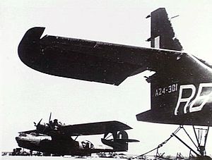 A No. 42 Squadron Catalina (left) with a No. 20 Squadron Catalina (right)