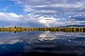 Raninbow in reeds