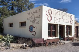 Rattlesnake emporium in the town of Fort Davis, Texas LCCN2014631185.tif