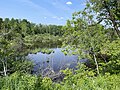 Vignette pour Rivière des Chutes (rivière Batiscan)