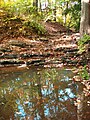 Stream in Rutgers Gardens