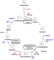 Vorschaubild der Version vom 14:34, 23. Jan. 2010