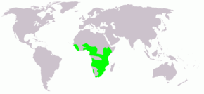 Description de l'image  Actophilornis africana map.png.