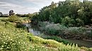 Tramo Inferior del Río Guadajoz