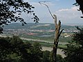 Donau, Neue Donau, Langenzersdorf