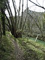 Sendero al embalse