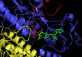 Structure of E. coli ThxR with FAD and NADPH prosthetic groups labeled