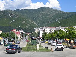 Centrala Kičevo år 2006