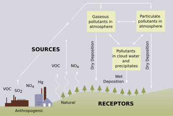 Processes involved in acid deposition (note that only SO2 and NOx play a significant role in acid rain).