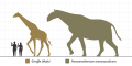 Paraceratherium Scale Diagram