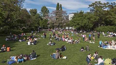 Het park zomers in het weekend