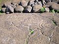 Turtle petroglyph found near Ahu Tongariki